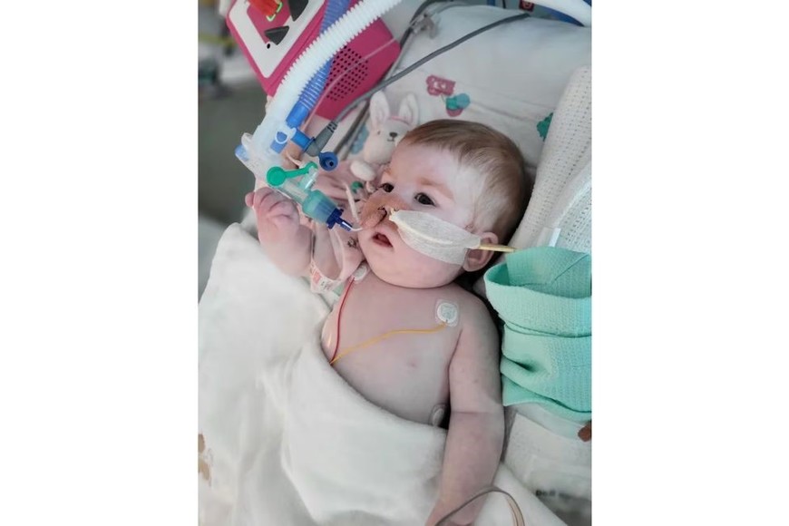 Se encontraba en el centro de una batalla judicial