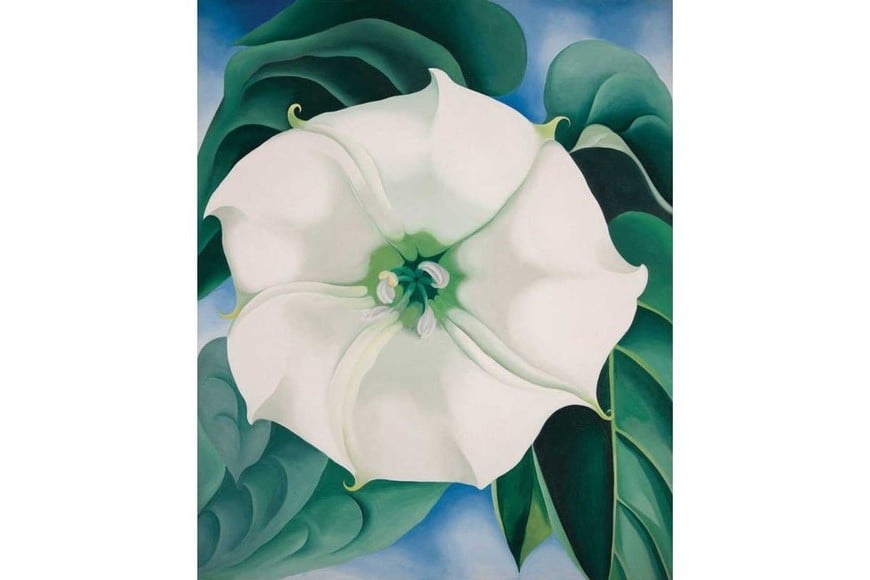 Georgia O’Keeffe Museum