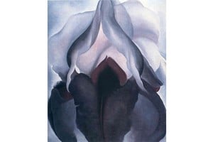 “Black Iris”, obra de Georgia O’Keeffe de 1926. La pintora nació el 15 de noviembre de 1887. Foto: The Metropolitan Museum of Art