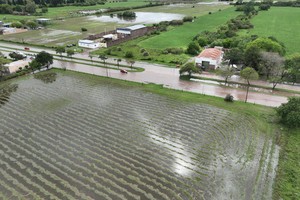 Barrios del norte y noreste de la ciudad resultaron afectados por los anegamientos. Crédito: Fernando Nicola