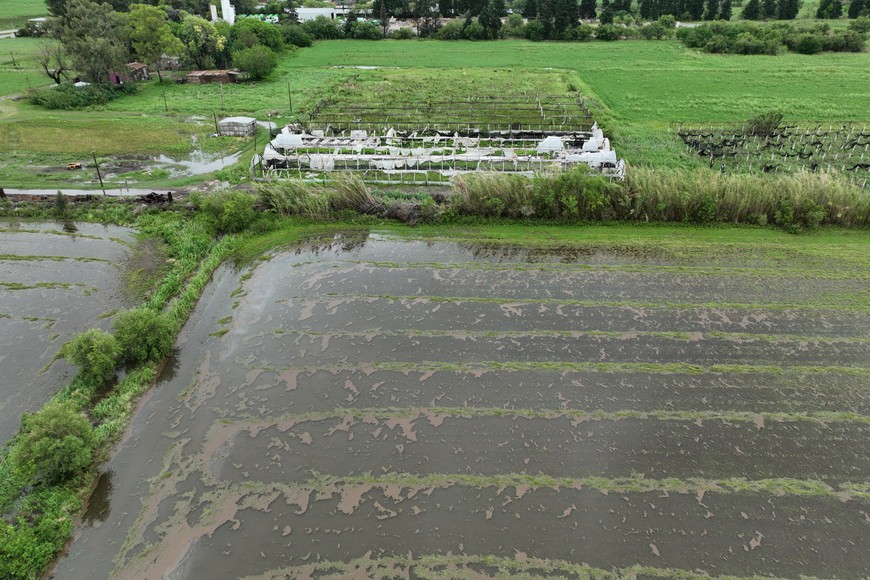 Zona de quintas, al norte de la ciudad. Crédito: Fernando Nicola