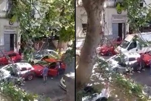 El episodio quedó registrado en un video que grabó un vecino de la zona.