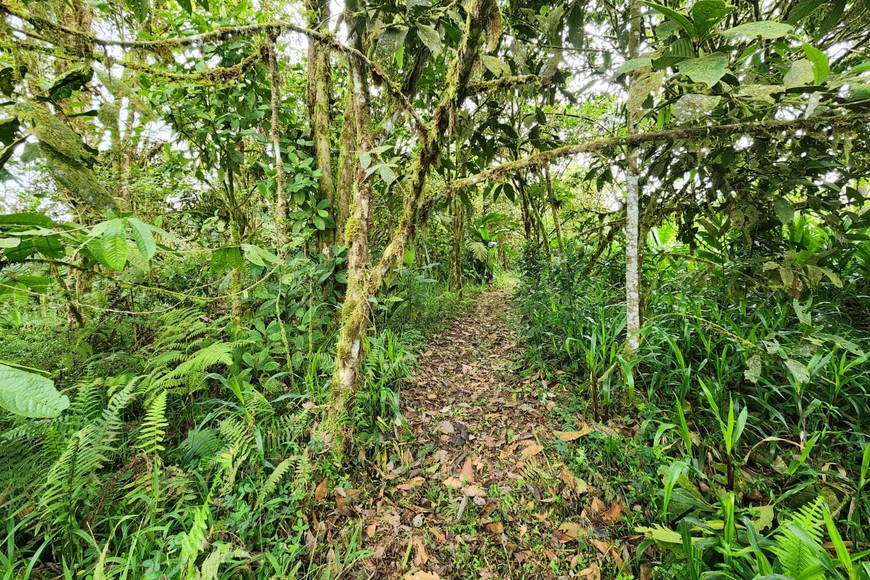 Recuperar el ecosistema. Así luce el terreno en el cual el ingeniero de la ciudad de Santa Fe aplica sus conocimientos.
