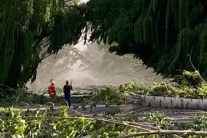 Personal municipal y otros organismos trabajan sin pausa, para despejar calles y restablecer los servicios.