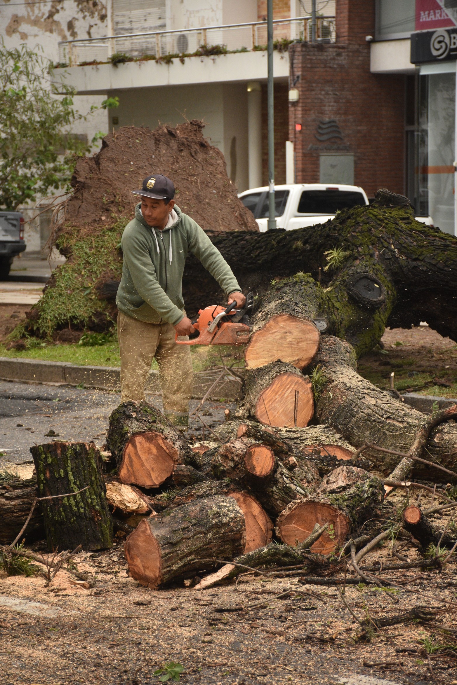 Las secuelas de la que dejó la tormenta