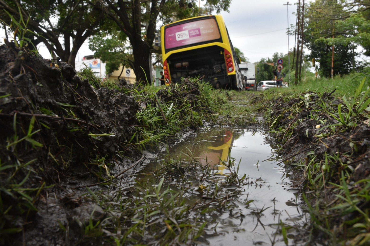 la huella que dejó el colectivo