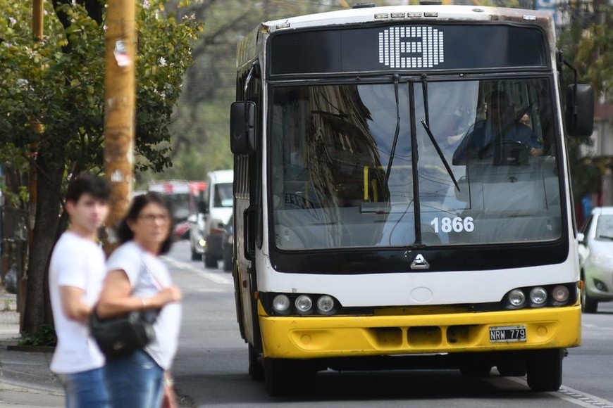 Sorba cuestionó que la cantidad de pasajeros transportados en colectivo "es prácticamente la misma en los últimos 25 años, es decir que no hemos logrado que la gente se traslade en el transporte público". Foto: Pablo Aguirre