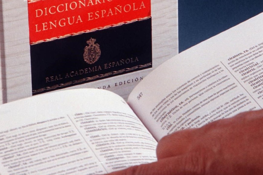 La Real Academia Española sumó más de 4 mil palabras a su diccionario: las  más destacadas - El Litoral