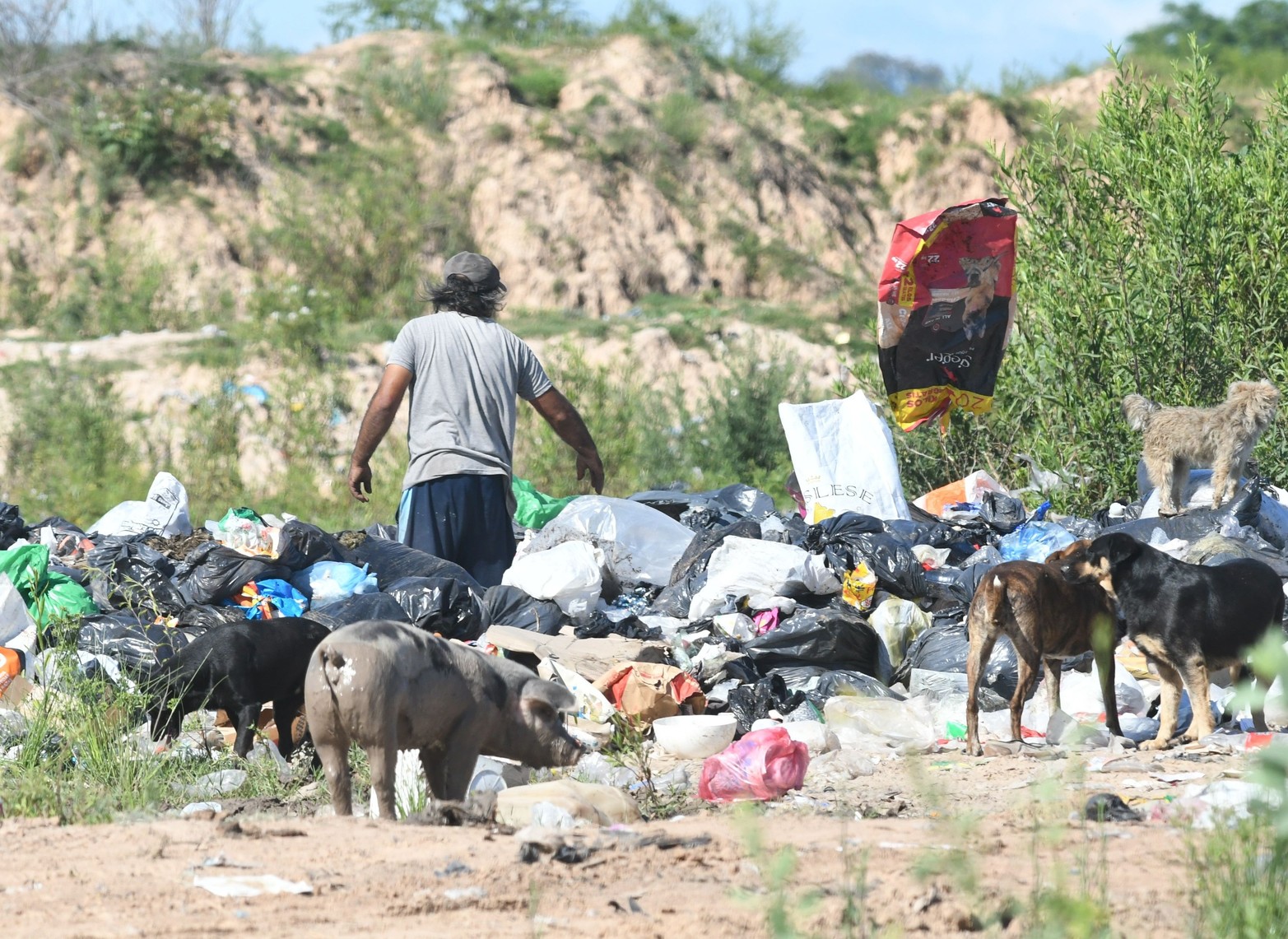 El basural genera impactos directos en el aire, el suelo, el agua (superficial y subterránea) como también en los humedales asociados a la laguna Setúbal.