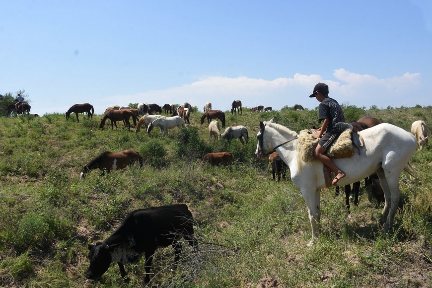 Las nuevas fotos de la creciente 