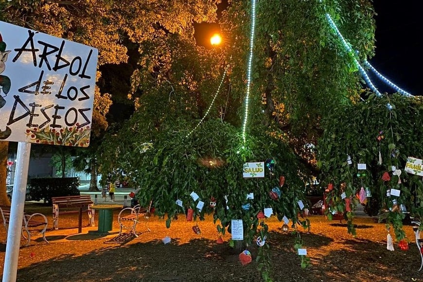 Durante la jornada además habrá una gran muestra final de Talleres Comunales, además se iluminarán los adornos navideños hechos por el EcoEquipo de la Comuna y habrá un árbol de los deseos donde los alumnos de las escuelas primarias estarán adornando con figuras hechas por ellos mismos.