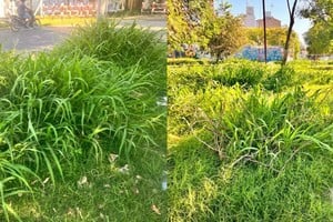 Las imágenes evidencian la falta de mantenimiento y el abandono del lugar.