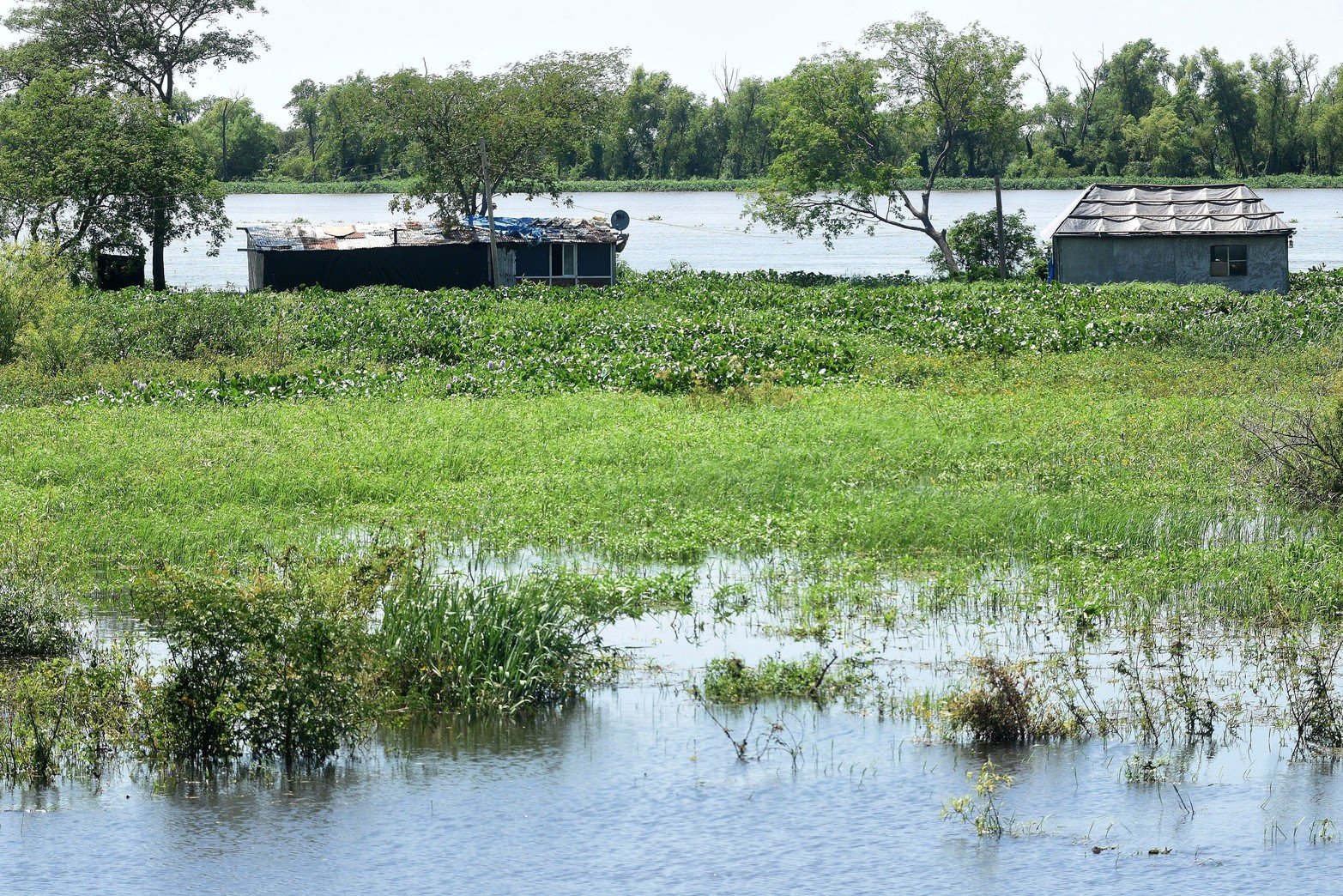 Las ranchadas sobre la vera de la costa del río Colastiné.
