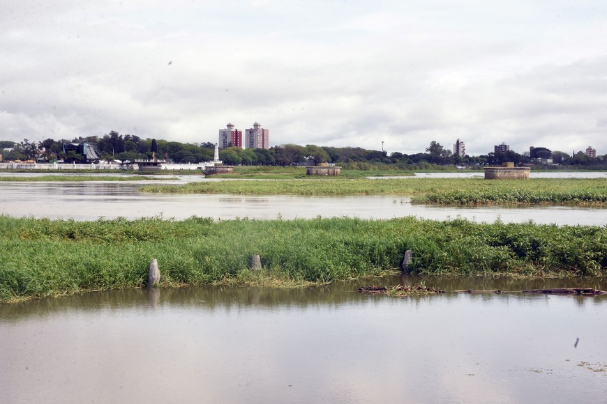 Guillermo Di Salvatora. Crédito: Luis Cetraro