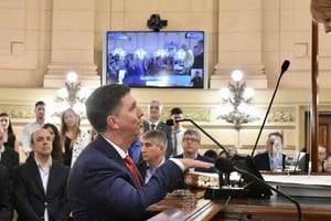 “En Las Colonias lo logramos, en nuestro Departamento hacemos juntos, siempre en positivo, con una labor colaborativa sin importar de qué sector vengan las mejores soluciones, trabajaré con cada uno de mis pares de bloque, para tener los mismos resultados a partir de esta nueva responsabilidad con la que me han honrado".
