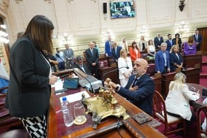 La presidenta de la Cámara de Diputados de Santa Fe toma juramente al legislador Fabián Palo Oliver. Crédito: Gentileza