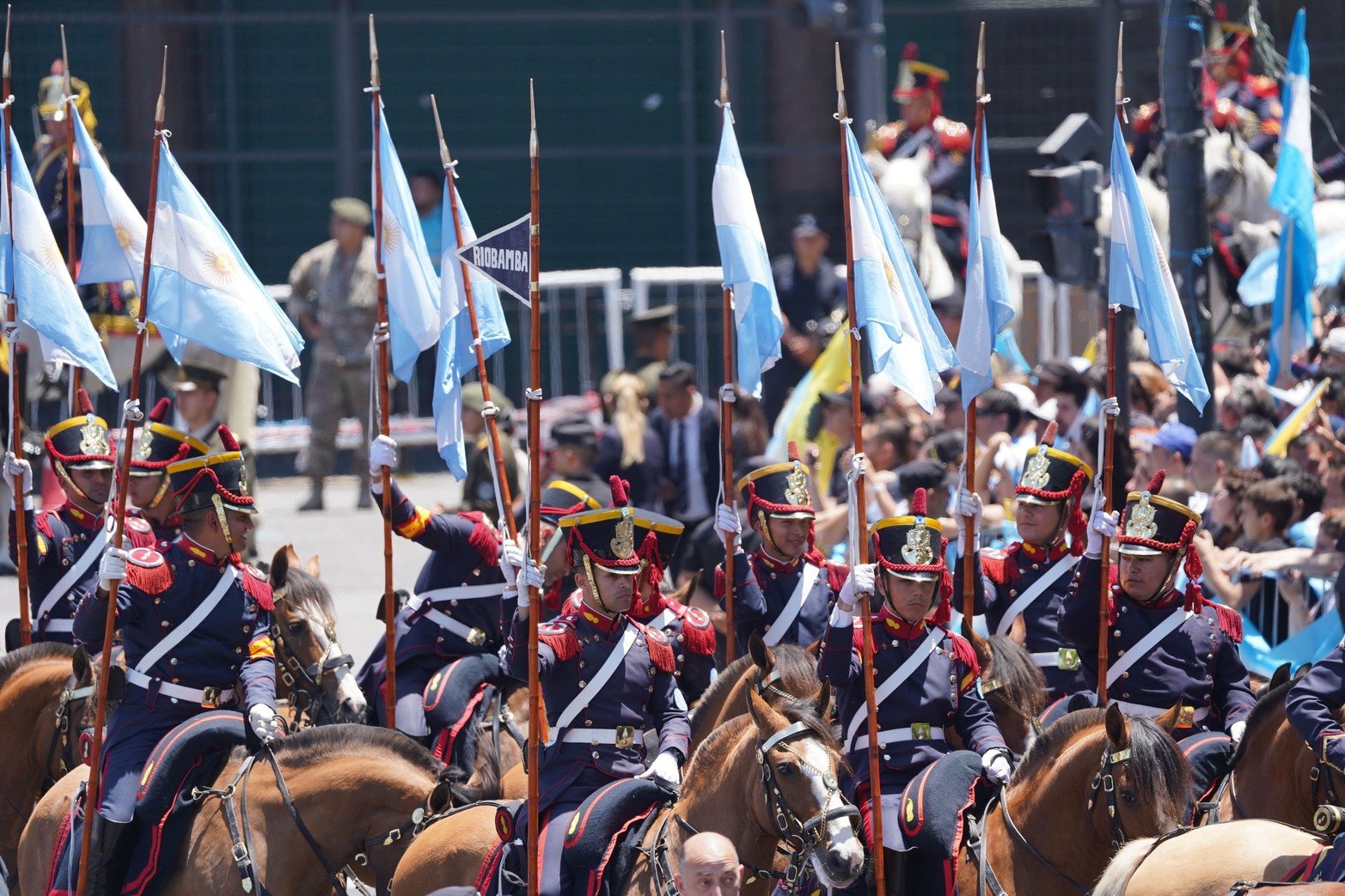 Los granaderos presentes en la asunción de Javier Milei.