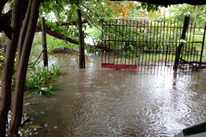 Temporal en Villa Ocampo