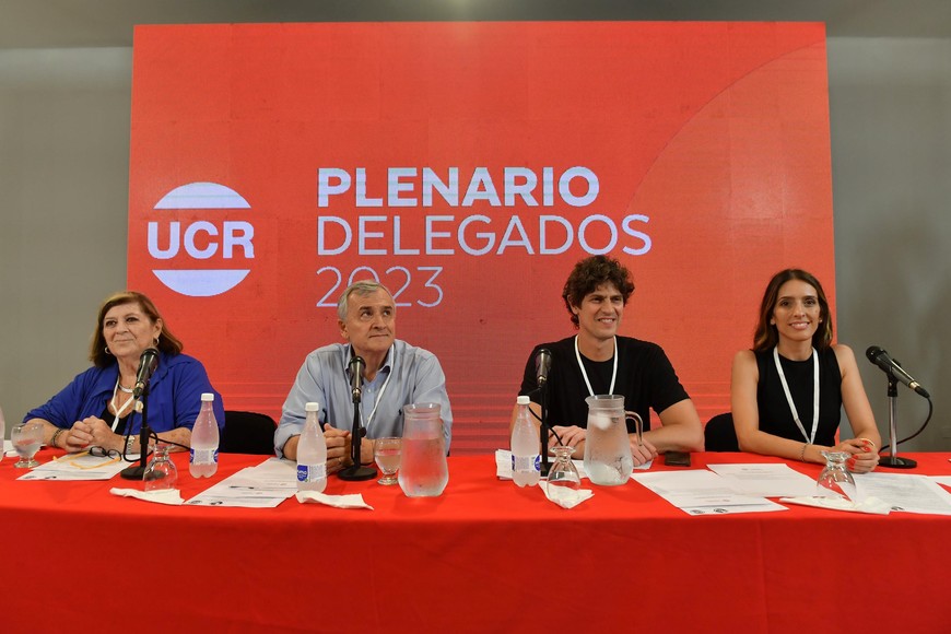 Plenario de delegados de la Unión Cívica Radical (UCR). Crédito: NA