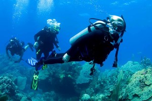 La salida grupal está programada para mayo de 2024 con destino a Bayahíbe. Imagen Ilustrativa.