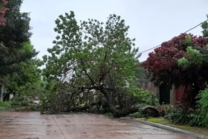 Personal municipal se movilizó rápidamente para hacer frente a la emergencia.