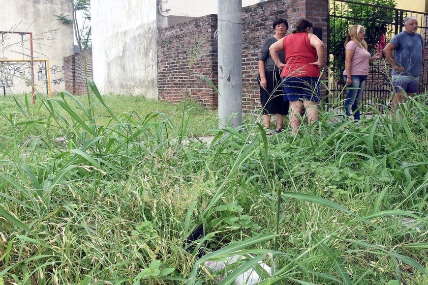 Hace falta mantenimiento en algunos espacios públicos del barrio, como en la plaza que se ubica en la esquina de Salta y Juan Díaz de Solís. Foto: Guillermo Di Salvatore