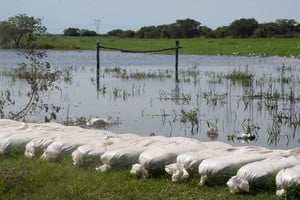 Los fenómenos extremos como inundaciones o sequías son cada vez más frecuentes. Crédito: Archivo/Guillermo Di Salvatore