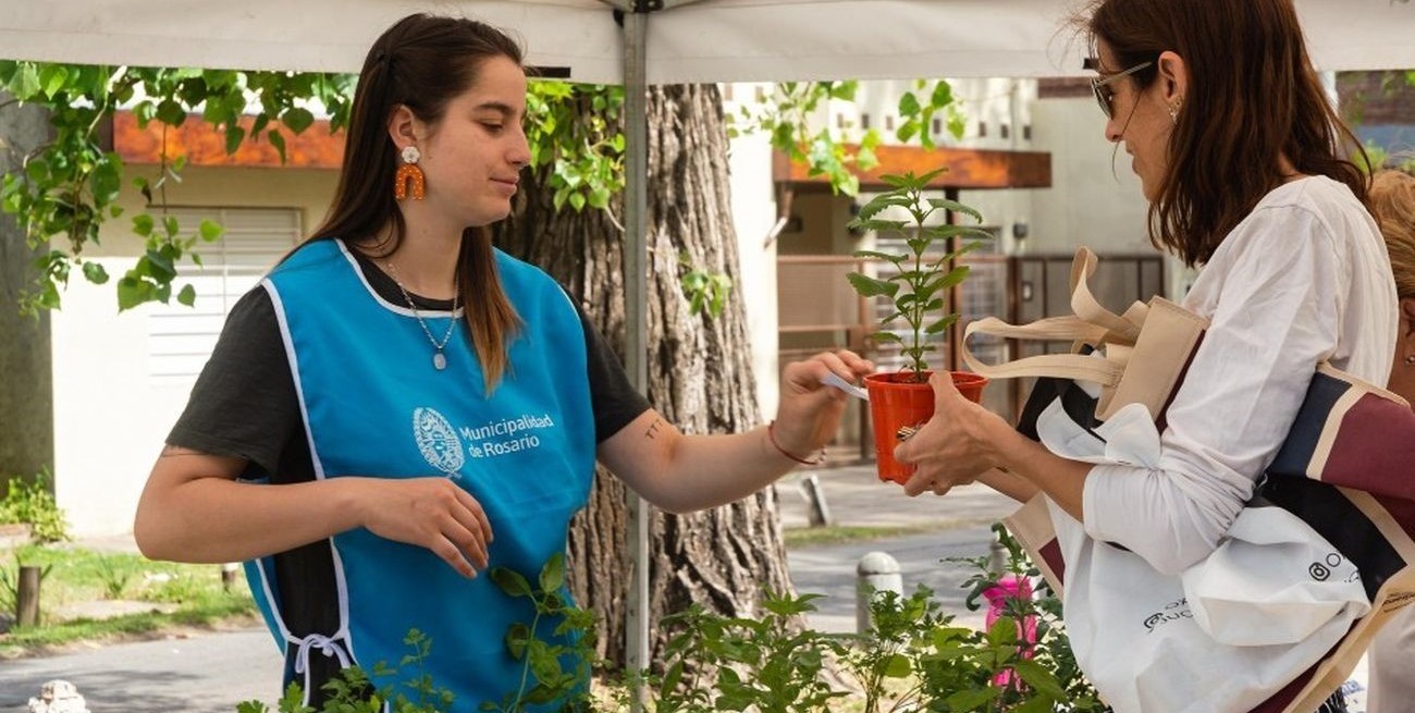 Canjes reciclables: comienzan en Rosario las campañas ambientales 