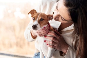 Darle la bienvenida a una mascota es una experiencia maravillosa, pero también requiere responsabilidad y compromiso.