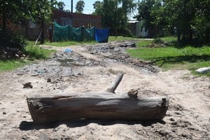 Calle sin nombre y Vicente Zarza vecinos colocancun tronco que impide el paso de vehículos