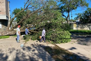La Secretaria de Ambiente y Servicios Públicos, Lic. María Lorena Domig, mencionó que las tareas se cumplen “como se habían planificado, sin ningún inconveniente".