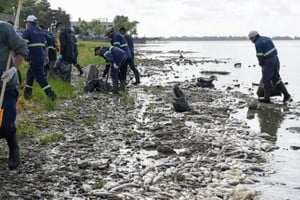 Los primeros peces muertos se avistaron en las orillas de la laguna bonaerense el pasado domingo 18 de diciembre