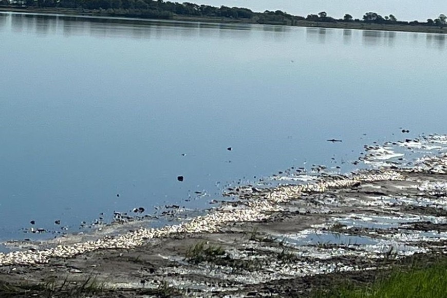 Los vecinos se quejan del mal olor que hay en la zona