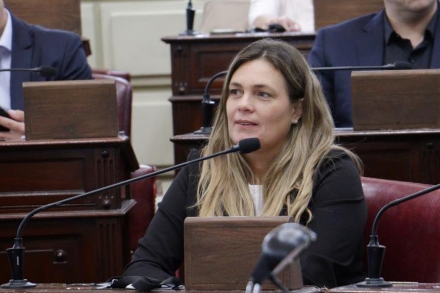 Silvana Di Stéfano, jefe de la bancada radical fue una de las voces del oficialismo en Diputados.