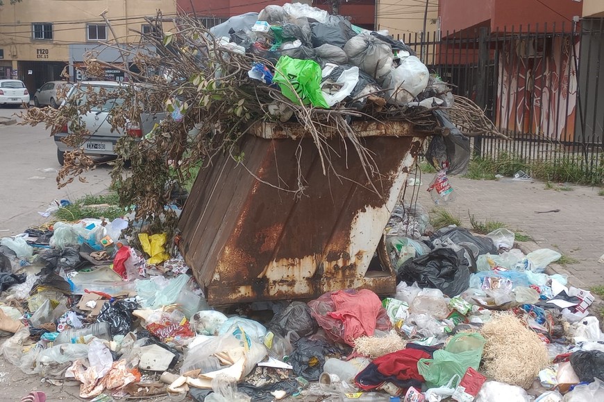 Contenedores de residuos colapsados en Las Flores. Gentileza.