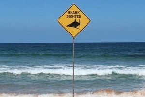 El ataque ocurrió durante la tarde del jueves cerca de Ethel Beach, en la península de Yorke.