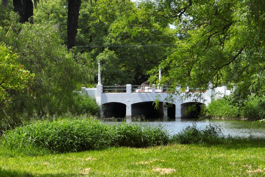 Yuyos altos y malezas. El municipio informó que habrá trabajos en el lugar. Foto: Fernando Nicola