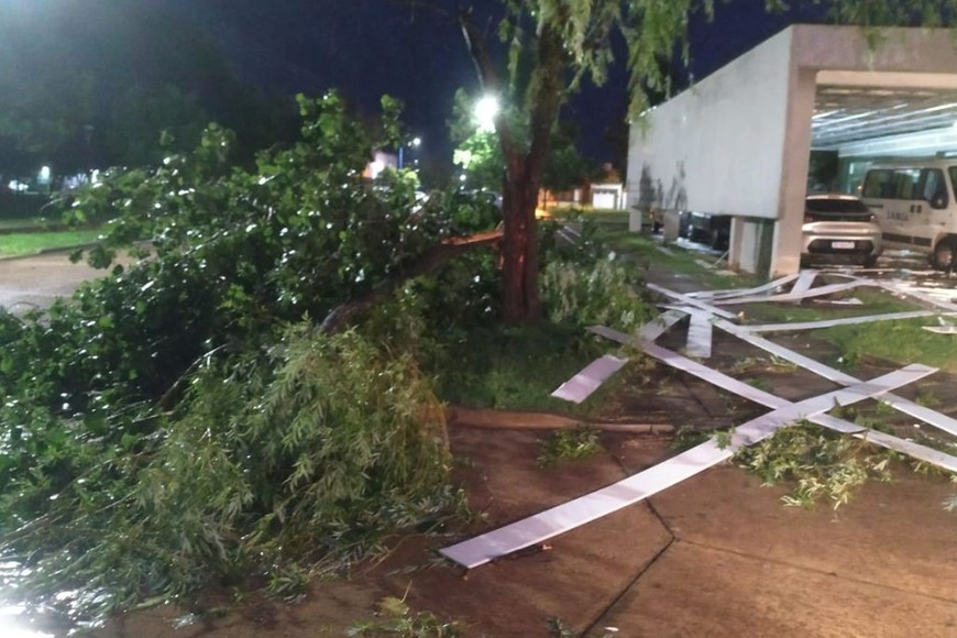 El temporal dejó varios árboles caídos en San Cristóbal y en Ceres
