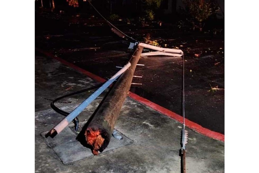 Además de árboles, postes de luz y de telefonía sufrieron las consecuencias de las ráfagas.