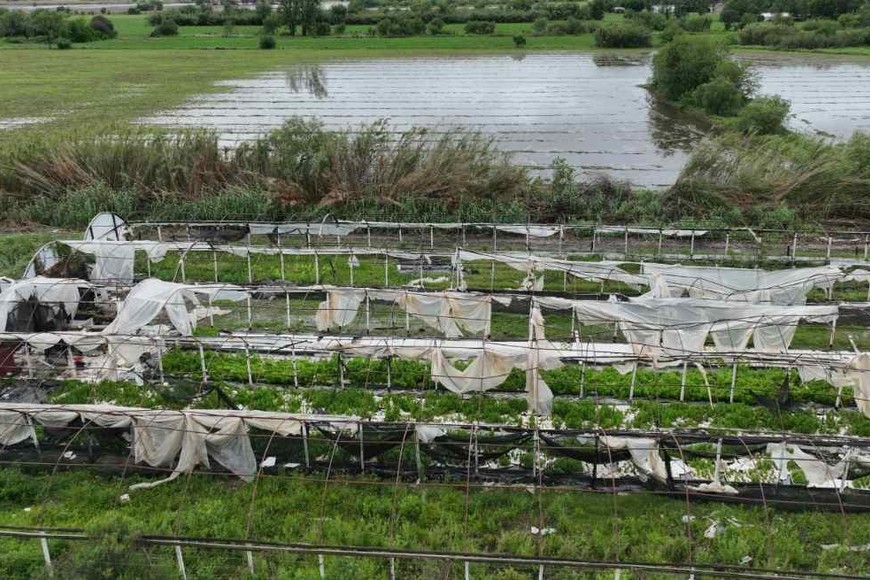 La llegada de las lluvias estuvieron acompañadas de fuertes vientos y granizo que ya generaron pérdidas en algunos cultivos y demoras en la etapa de siembra. En lo urbano, las tormentas están ocasionando importantes inconvenientes en los servicios y daños materiales. Crédito: Fernando Nicola.