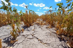 La histórica sequía provocó grandes inconvenientes en toda la cadena de producción y comercialización del agro, lo que redundó en problemas para la macroeconomía y las economías regionales.