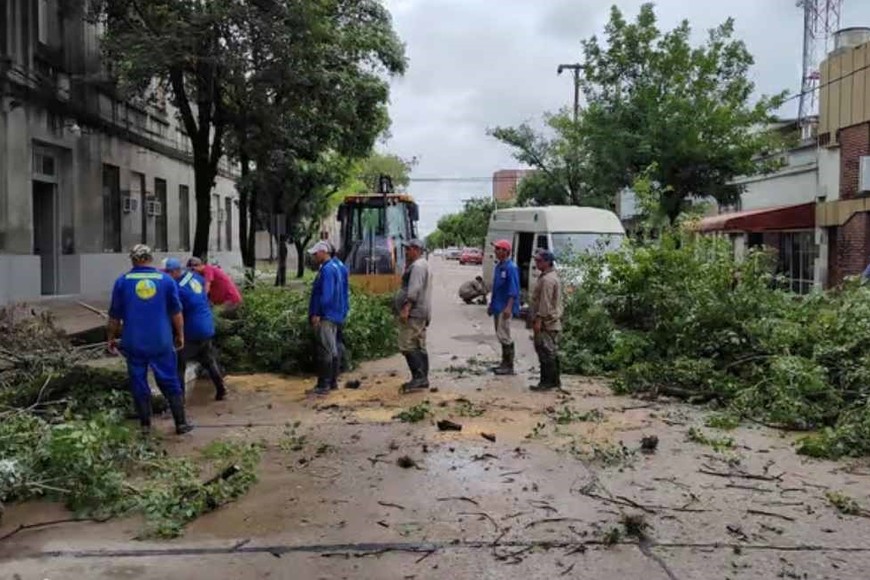 En Vera, las calles quedaron cubiertas de follaje caído. Operarios municipales trabajaban para limpiar la ciudad.