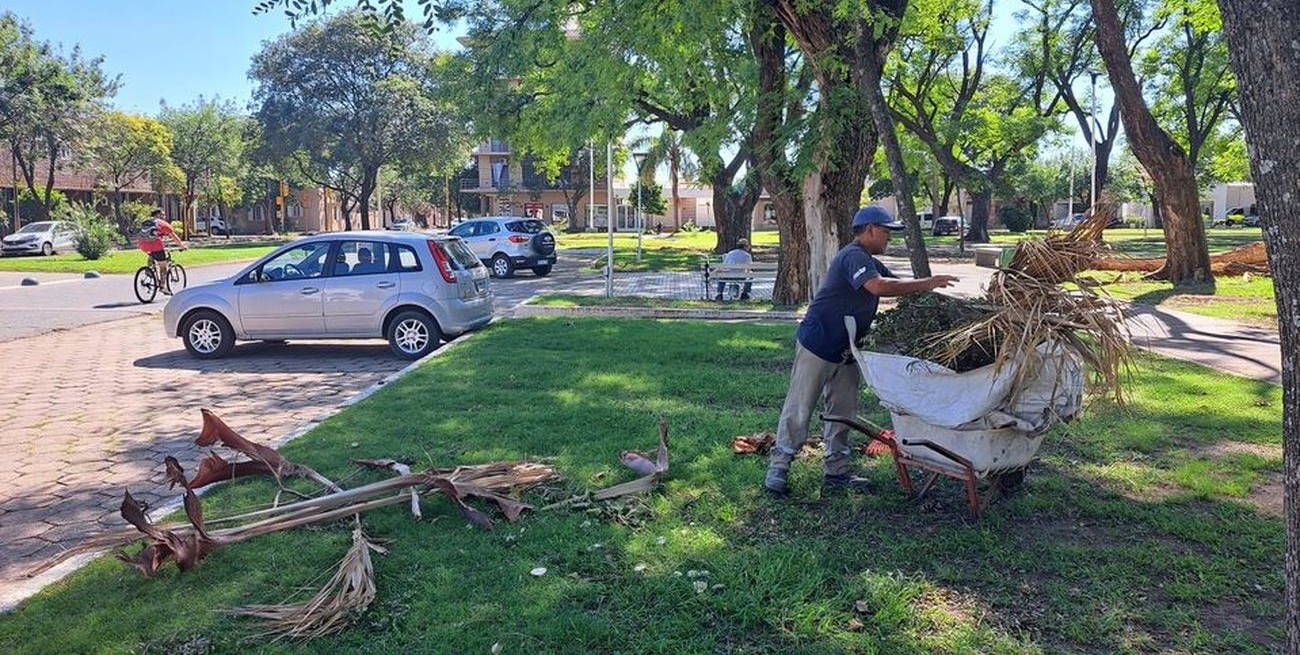 Tras el temporal, continúan los trabajos para despejar y limpiar las calles en Sunchales