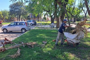 La tormenta del pasado jueves provocó daños en el alumbrado público, el cableado de servicios y la caída de más de 300 árboles, entre otros perjuicios.