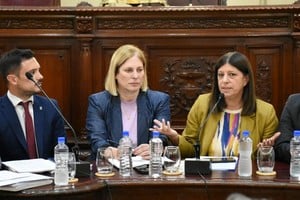 La presidenta del cuerpo, Clara García, remarcó que “para investigar y juzgar el delito es necesario modernizar las estructuras judiciales".