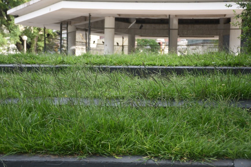 Las tareas se concentraron en la zona de terminal de ómnibus. Crédito: Guillermo Di Salvatore.