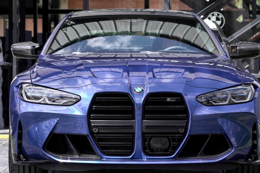 Uno de los ejemplares en exhibición.