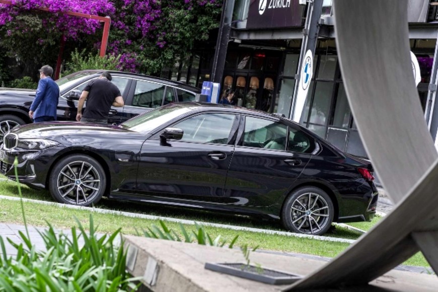 Uno de los ejemplares en exhibición.