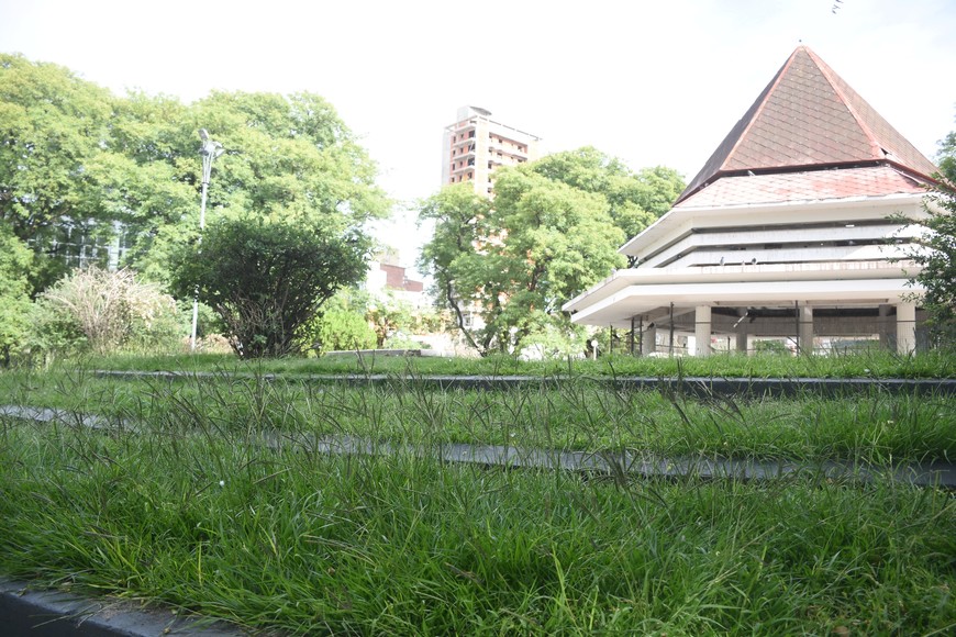 Motoguadañas. La próxima semana la Municipalidad incorporará 20 nuevas para cortar los yuyos de la ciudad.

Manuel Fabatía.