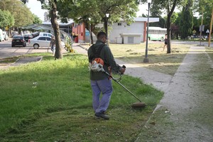 Motoguadañas. La próxima semana la Municipalidad incorporará 20 nuevas para cortar los yuyos de la ciudad.

Manuel Fabatía.